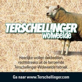 Terschellinger Wolweelde